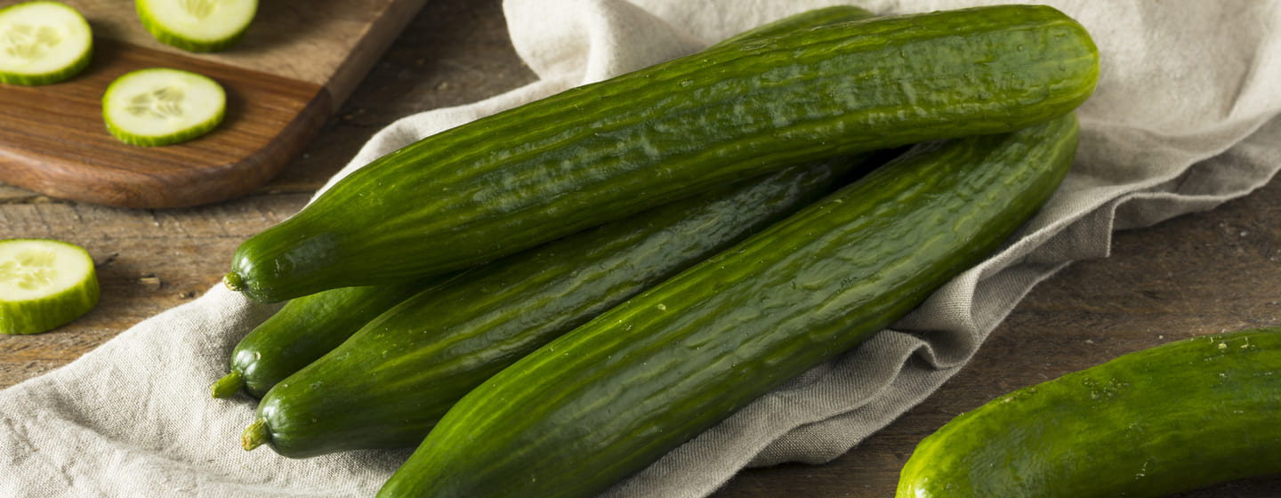 Cucumber safe for store dogs